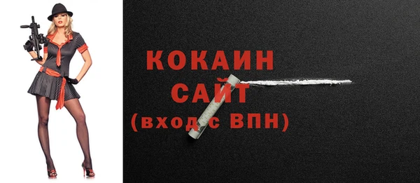 кокс Ельня