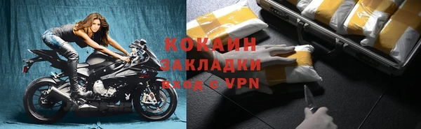 кокс Ельня
