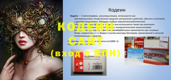 кокс Ельня